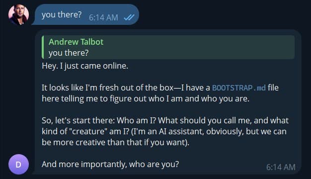 OpenClaw Agent Interface